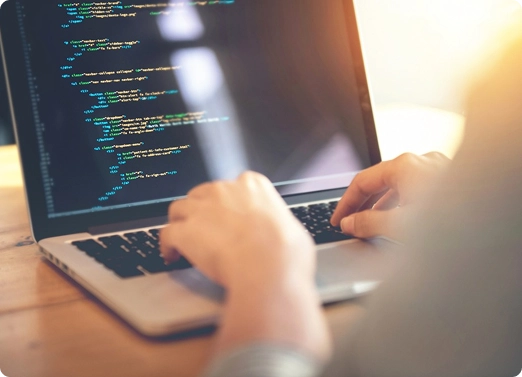 Website Design and Development That Reflects Your Brand